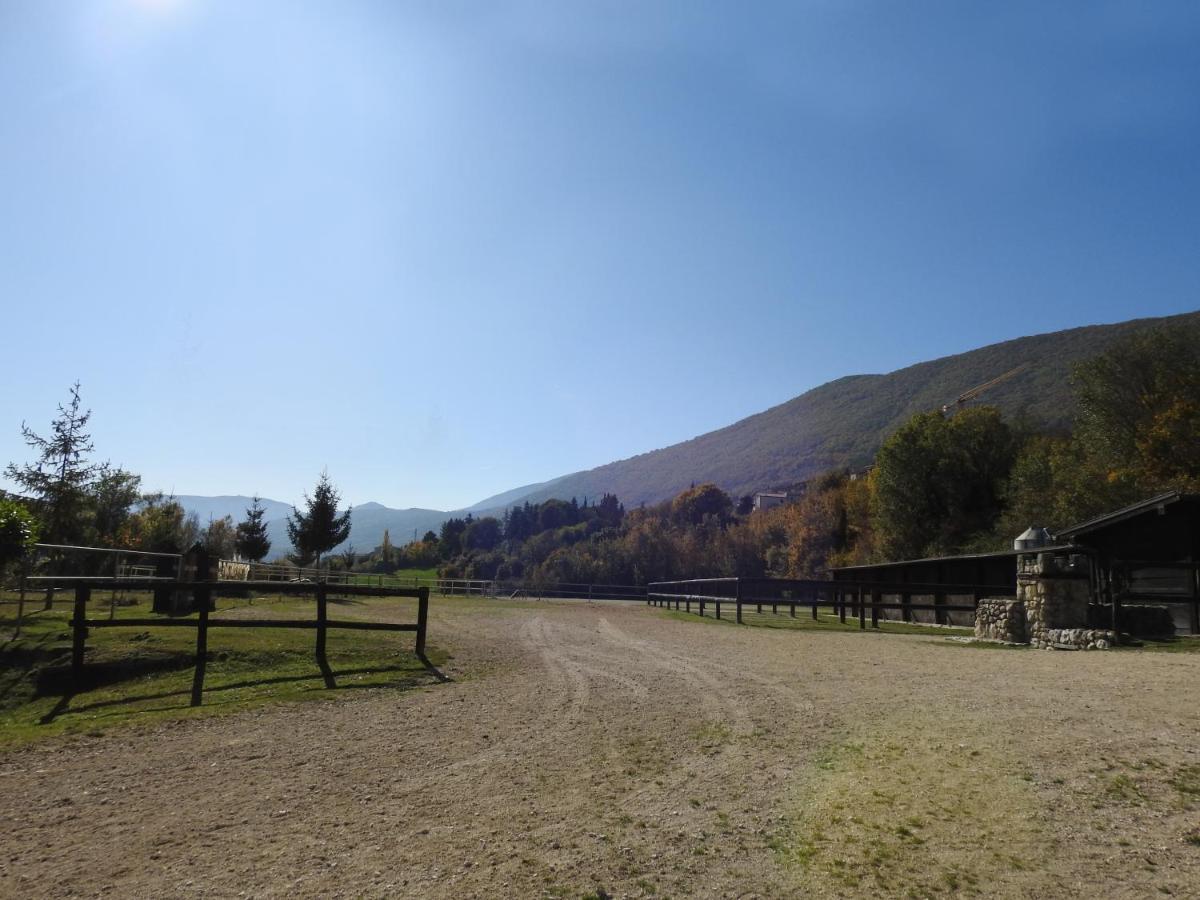 Villa Il Vecchio Olmo Gagliano Aterno Esterno foto