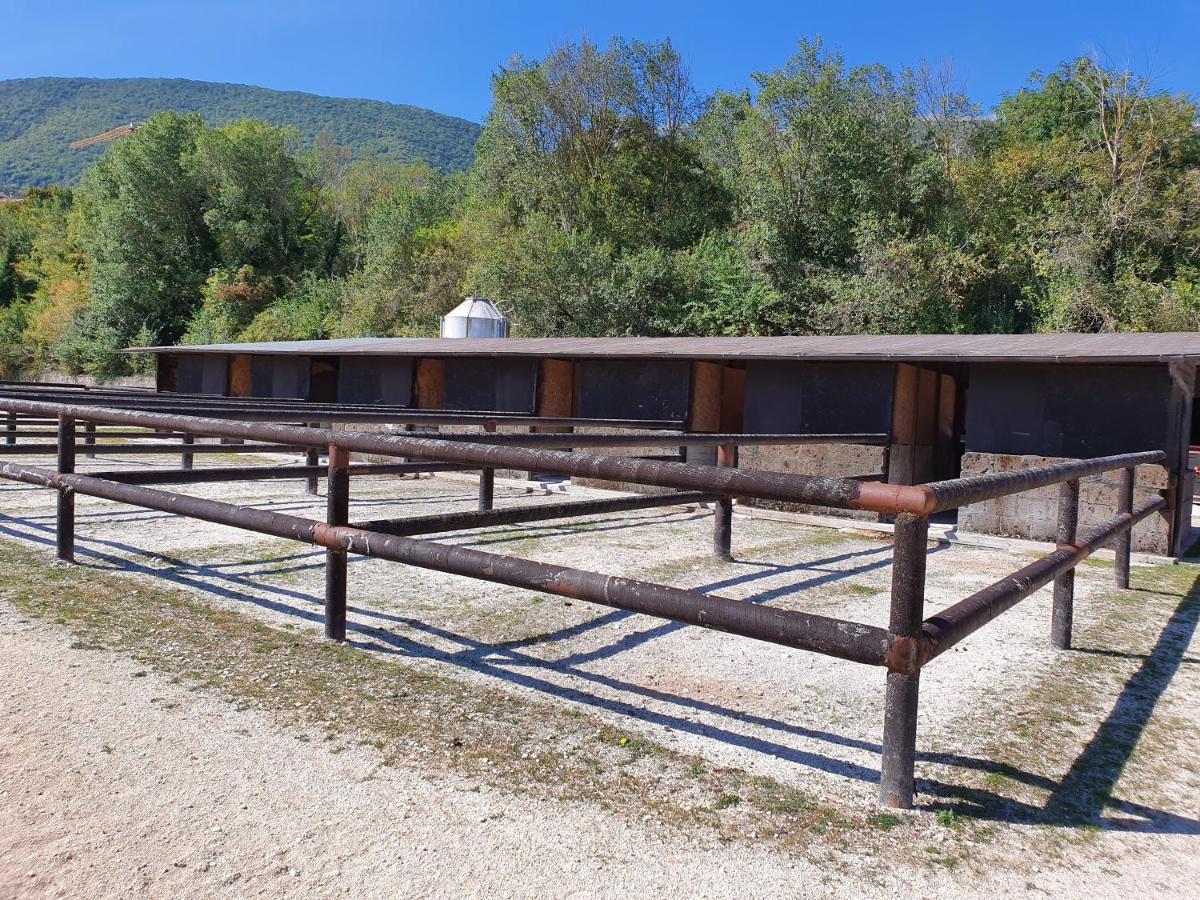 Villa Il Vecchio Olmo Gagliano Aterno Esterno foto