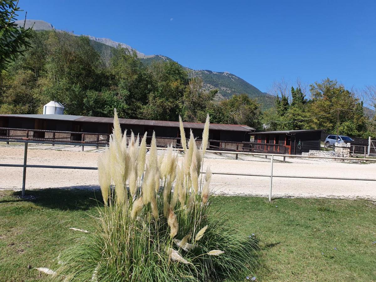 Villa Il Vecchio Olmo Gagliano Aterno Esterno foto