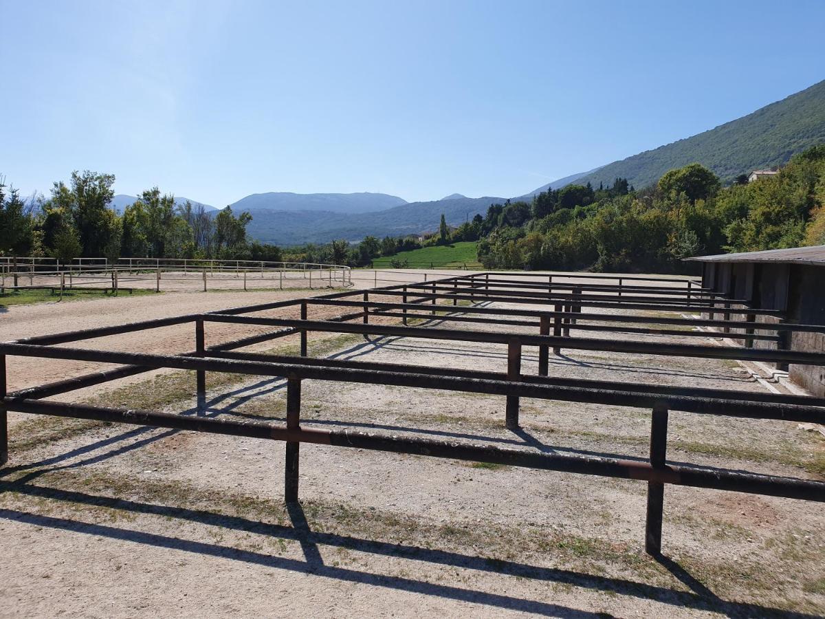 Villa Il Vecchio Olmo Gagliano Aterno Esterno foto