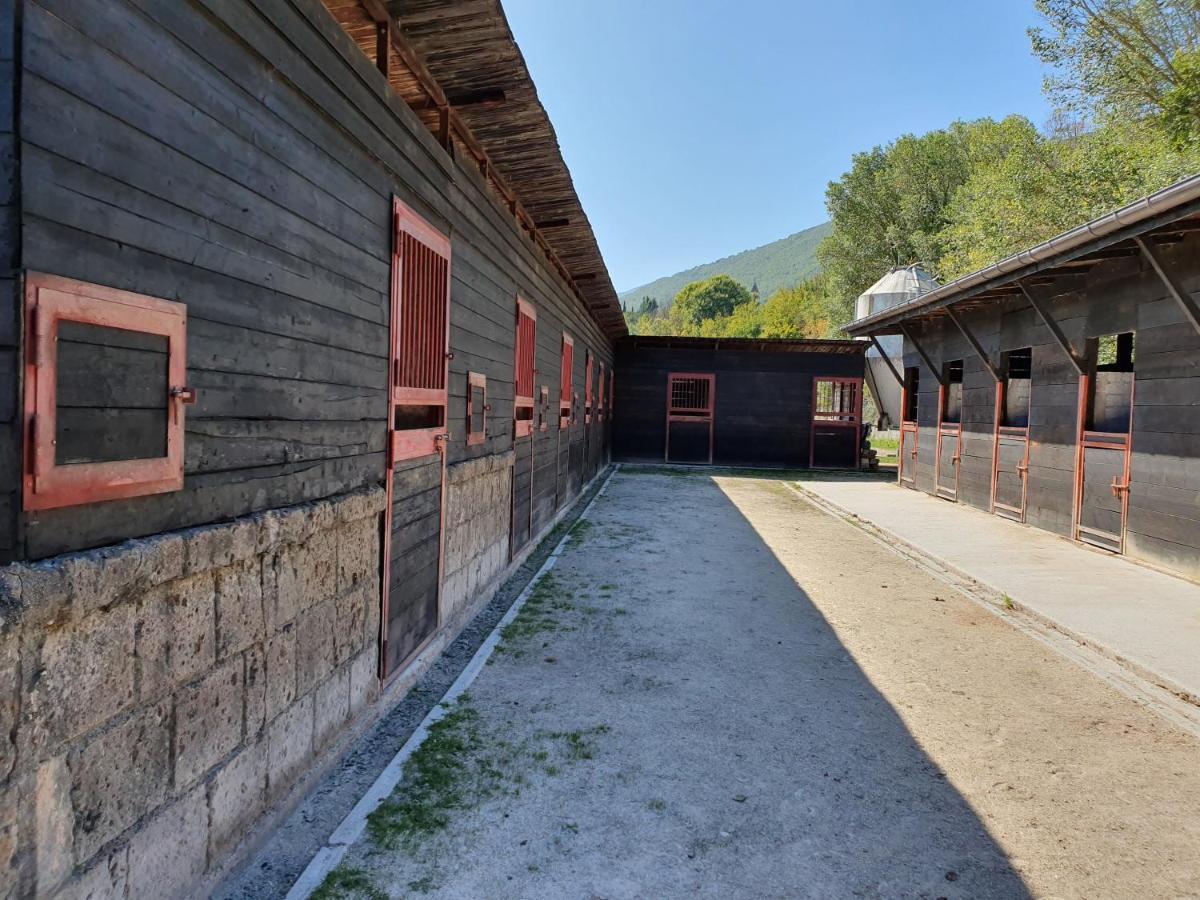 Villa Il Vecchio Olmo Gagliano Aterno Esterno foto