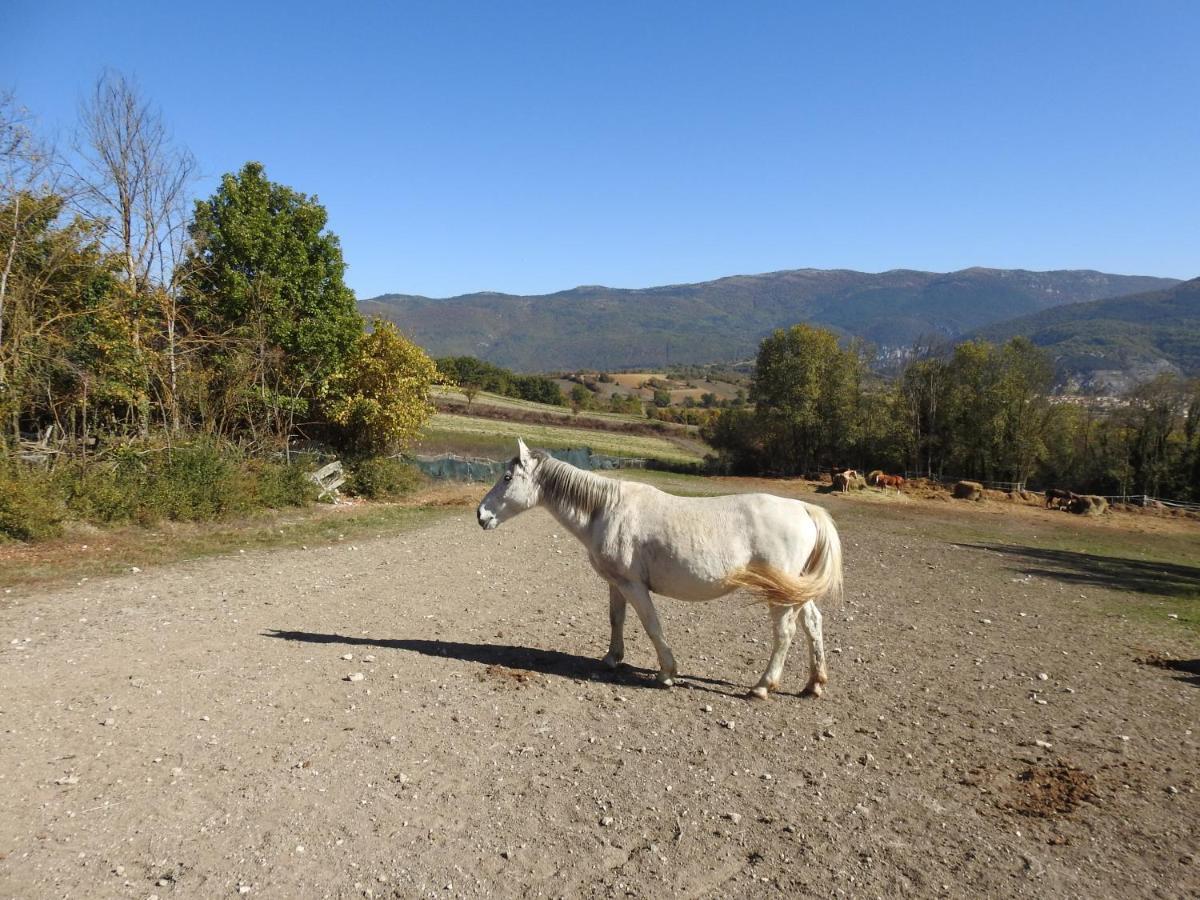Villa Il Vecchio Olmo Gagliano Aterno Esterno foto