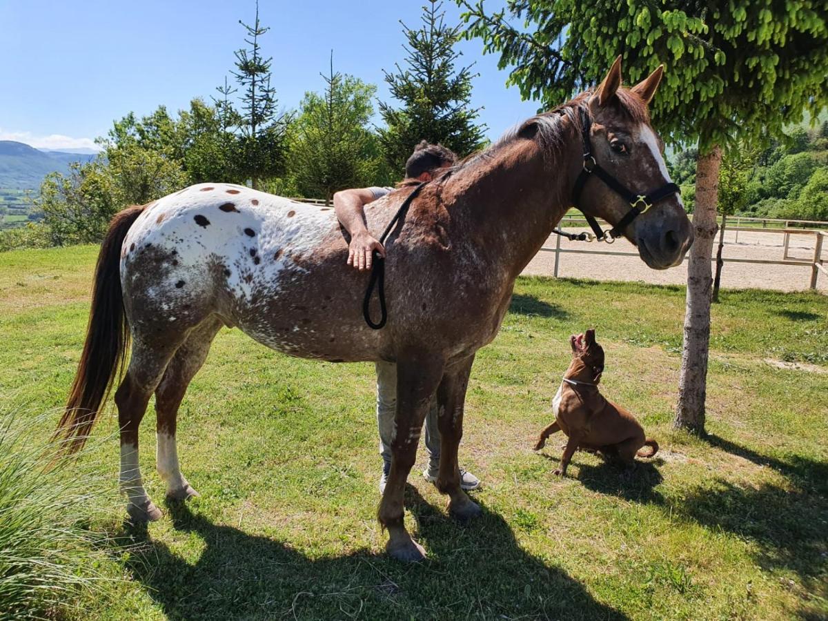 Villa Il Vecchio Olmo Gagliano Aterno Esterno foto